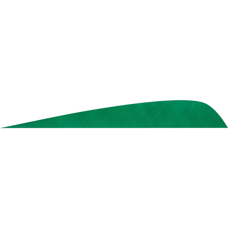 Gateway Parabolic Green 4 in. Left Wing Arrow Feathers 50 pk.