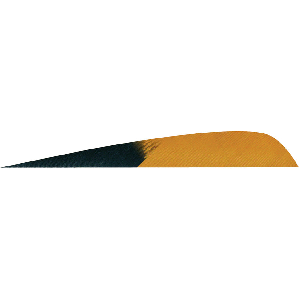 Gateway Parabolic Kuro Brown 4 in. Left Wing Arrow Feathers 50 pk.