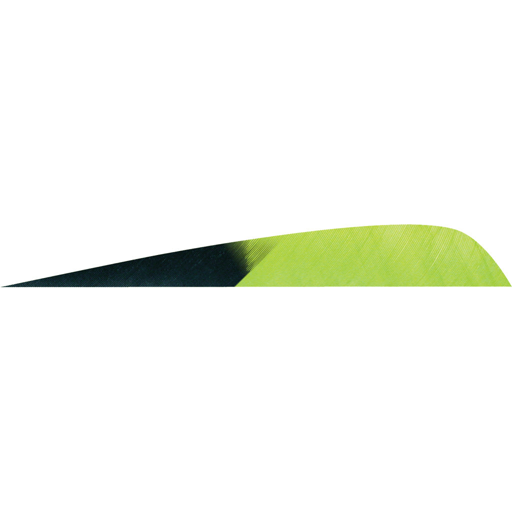 Gateway Parabolic Kuro Chartreuse 4 in. Left Wing Arrow Feathers 50 pk.