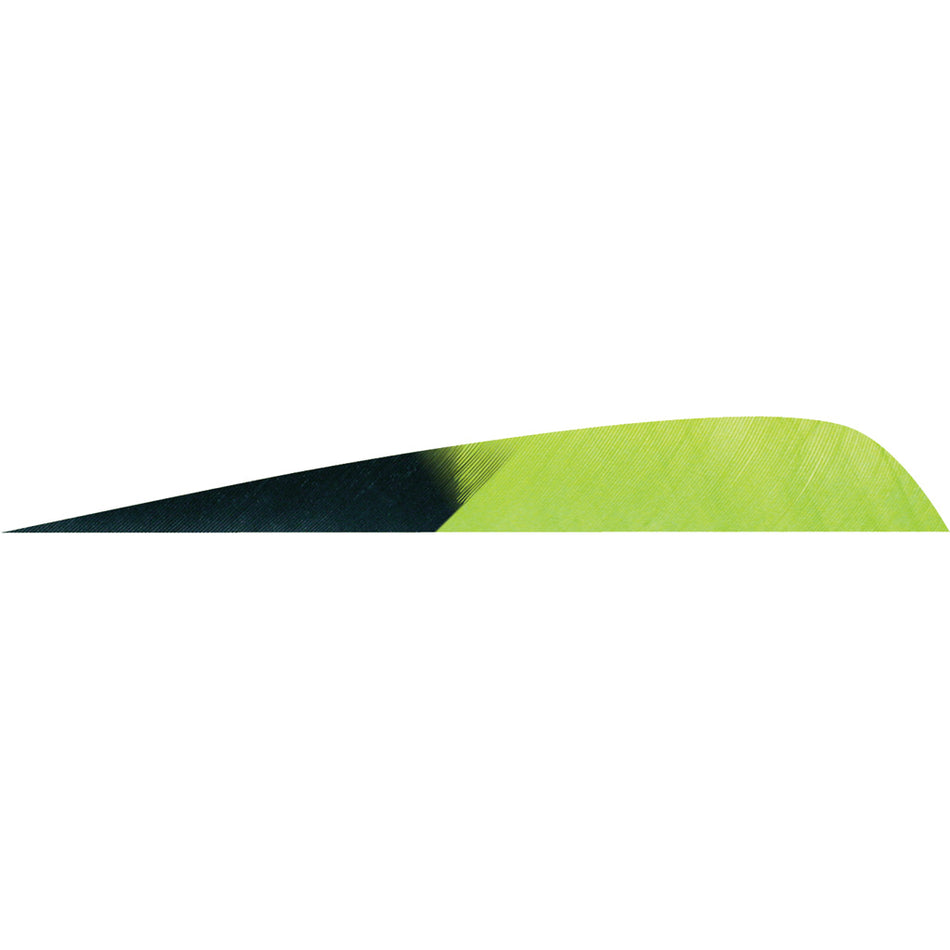 Gateway Parabolic Kuro Chartreuse 4 in. Left Wing Arrow Feathers 50 pk.