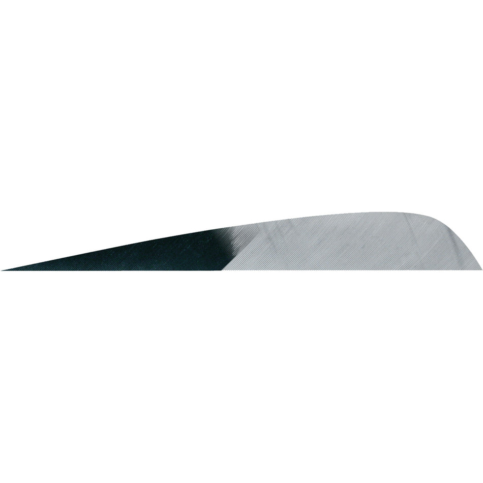 Gateway Parabolic Kuro Grey 4 in. Left Wing Arrow Feathers 50 pk.