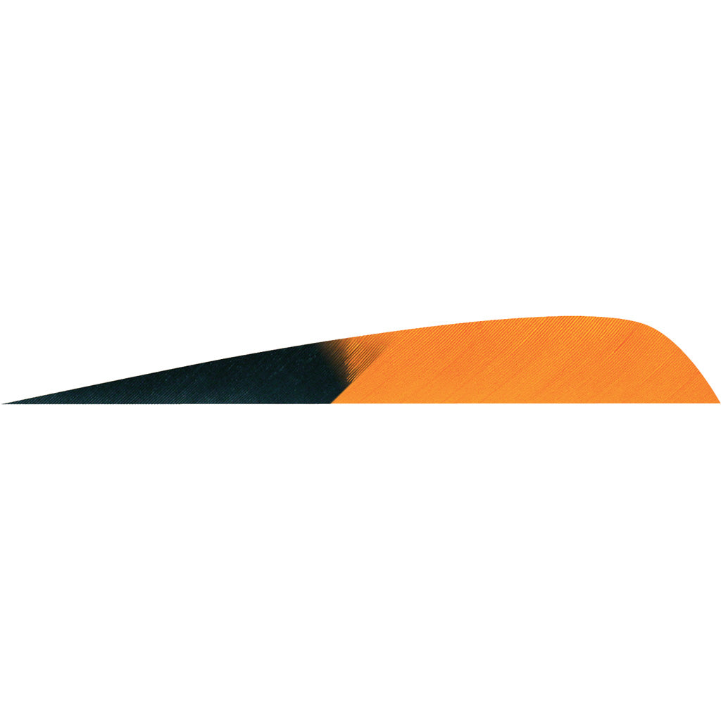 Gateway Parabolic Kuro Orange 4 in. Left Wing Arrow Feathers 50 pk.