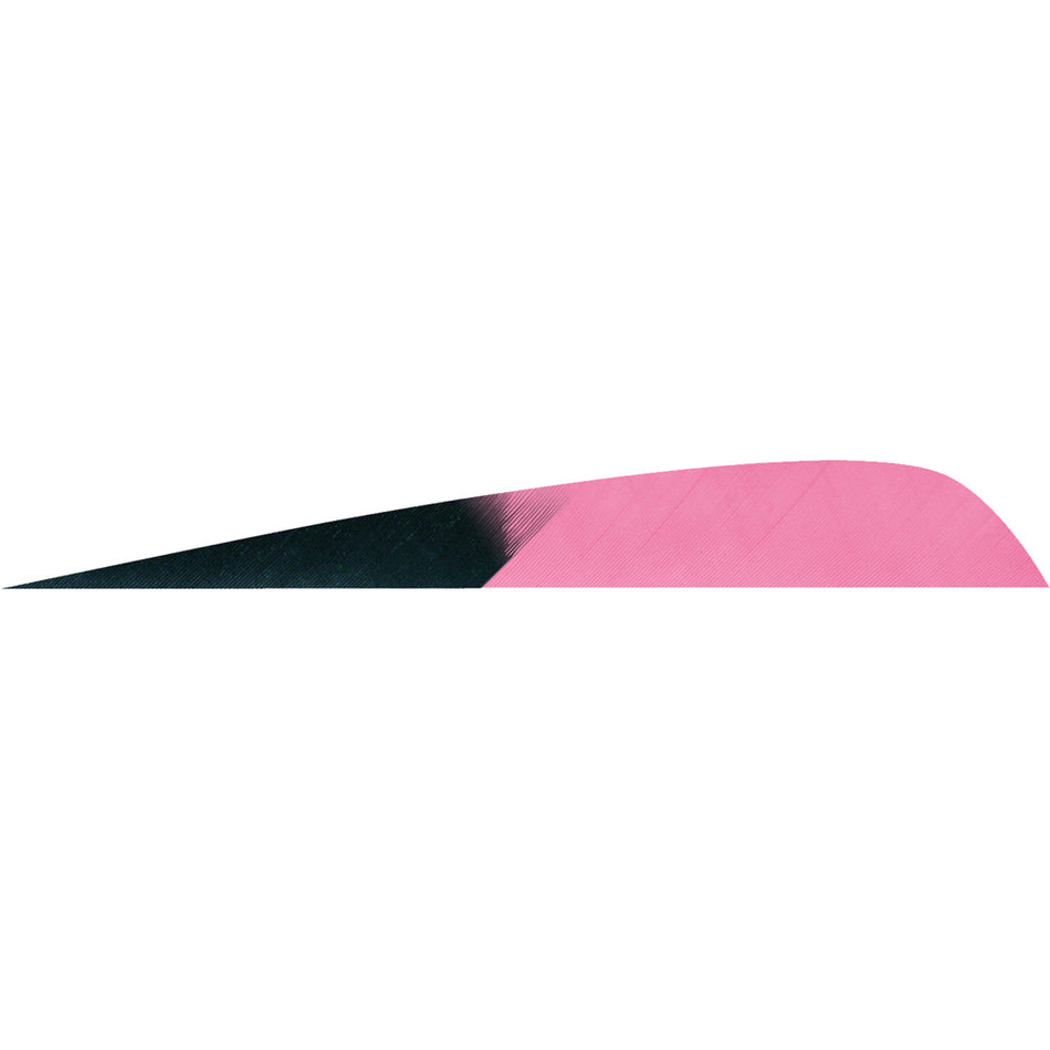 Gateway Parabolic Kuro Pink 4 in. Left Wing Arrow Feathers 50 pk.
