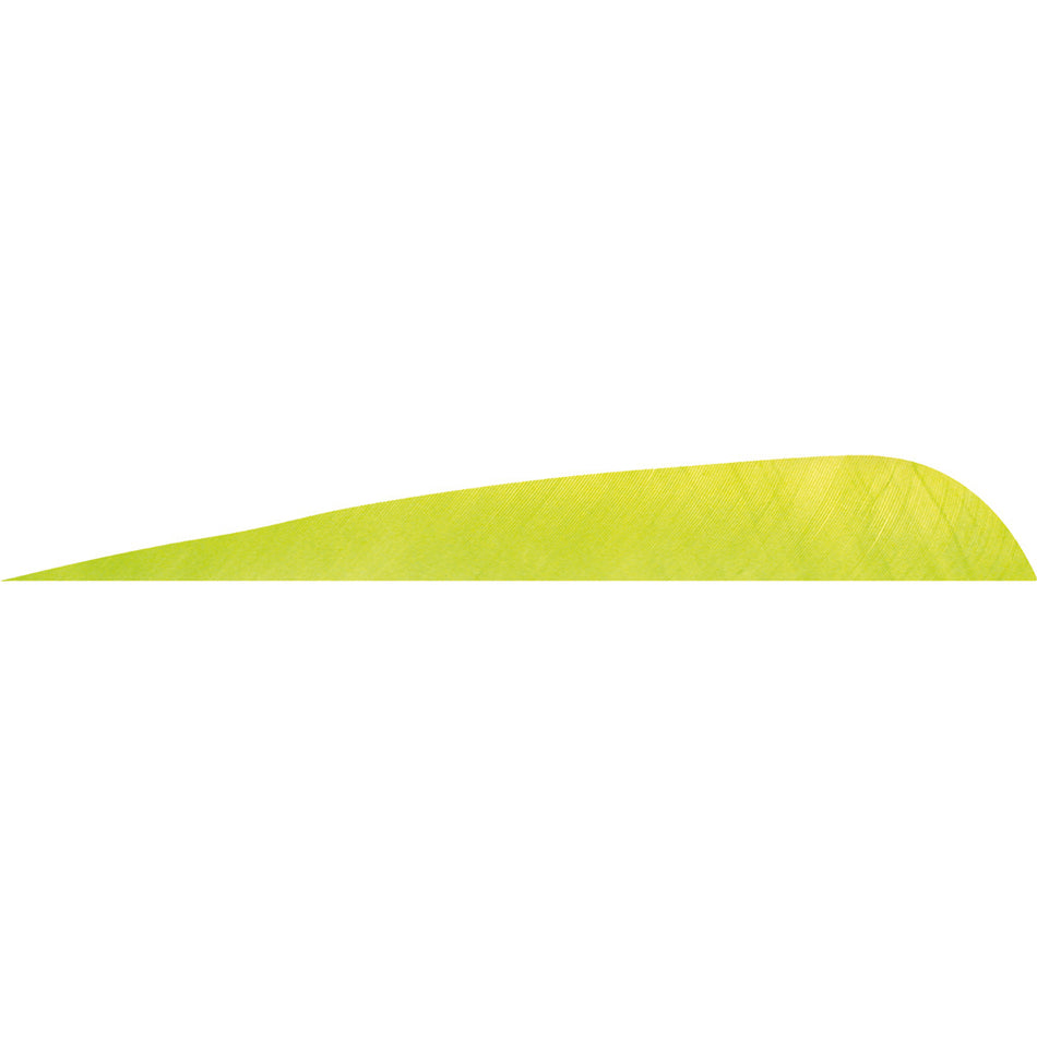 Gateway Parabolic Lemon Lime 4 in. Left Wing Arrow Feathers 50 pk.
