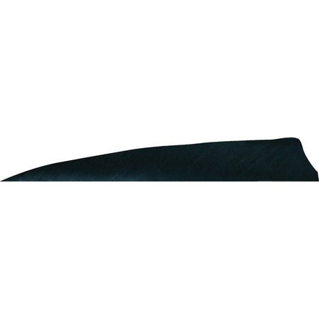 Gateway Feathers Black Shield Cut Shape 4 in. Left Wing 50 pk.