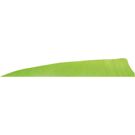 Gateway Feathers Chartreuse Shield Cut Shape 4 in. Left Wing 50 pk.