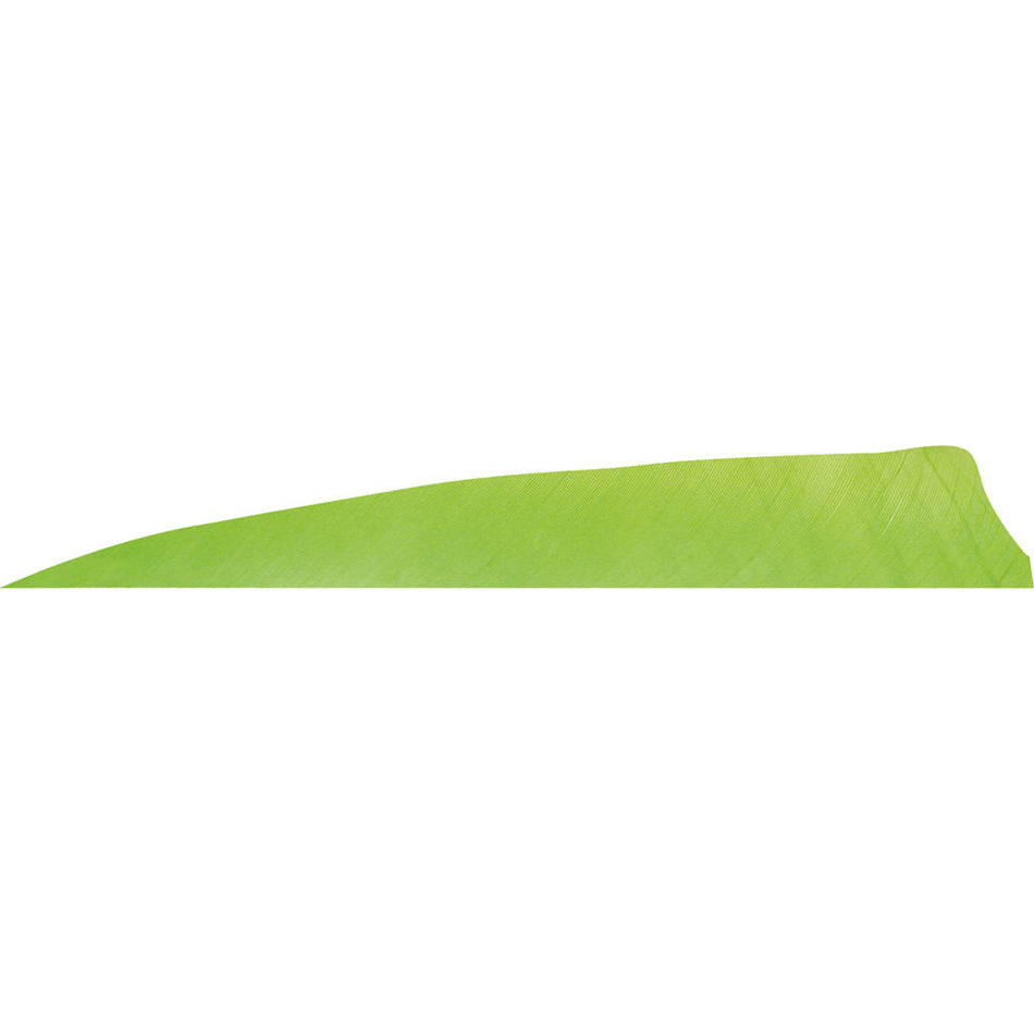 Gateway Feathers Chartreuse Shield Cut Shape 4 in. Left Wing 50 pk.