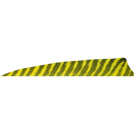 Gateway Barred Yellow Shield Cut Feathers 4 in. LW 50-Piece Pack