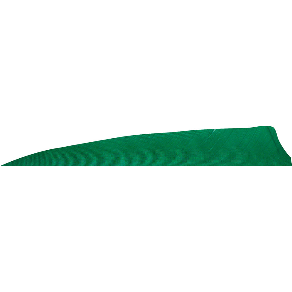 Gateway Green Shield Cut Feathers 4 in. LW 50-Piece Pack