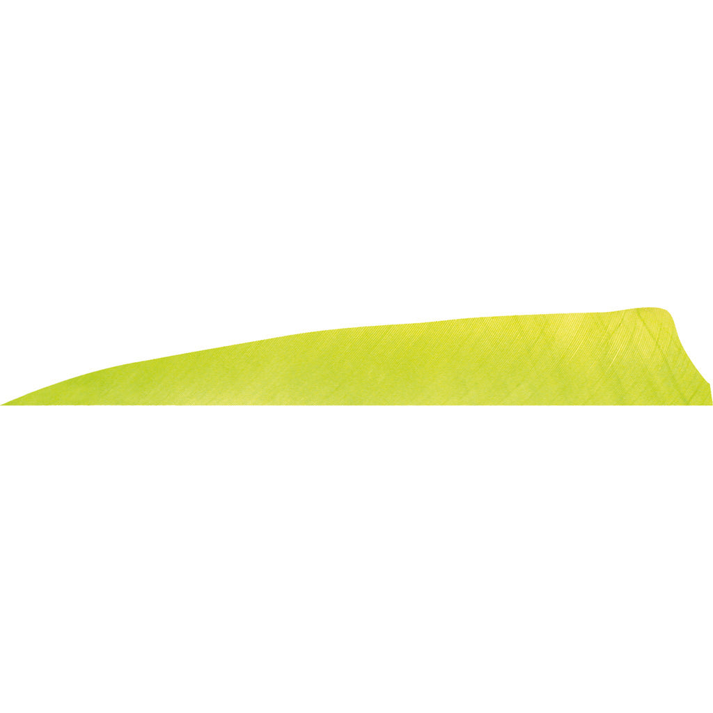 Gateway Lemon Lime Shield Cut Feathers 4 in. LW 50-Piece Pack
