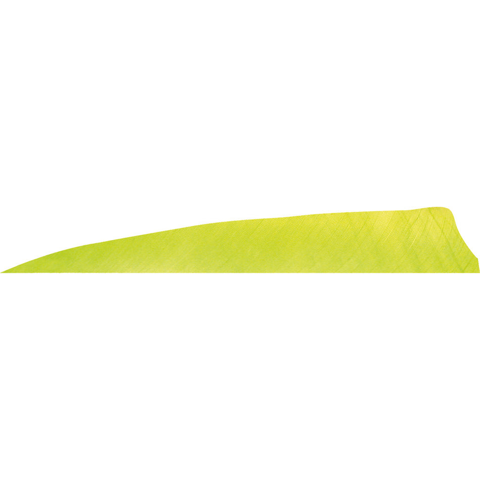 Gateway Lemon Lime Shield Cut Feathers 4 in. LW 50-Piece Pack