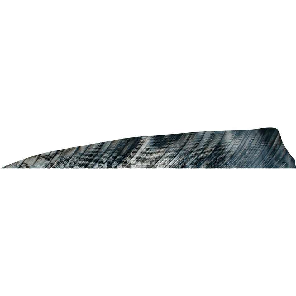 Gateway Feathers Shield Cut Tre Bark 4 in. Left Wing Arrow Fletching 50 pk.