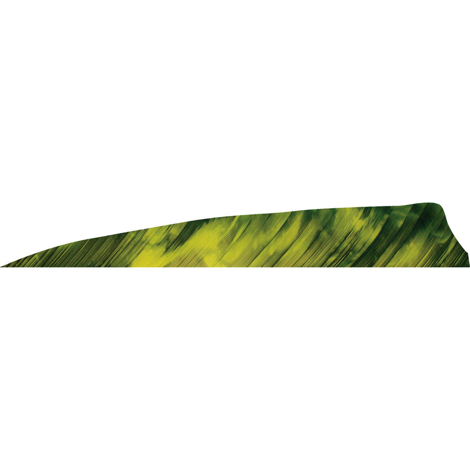 Gateway Feathers Shield Cut Tre Yellow 4 in. Left Wing Arrow Fletching 50 pk.
