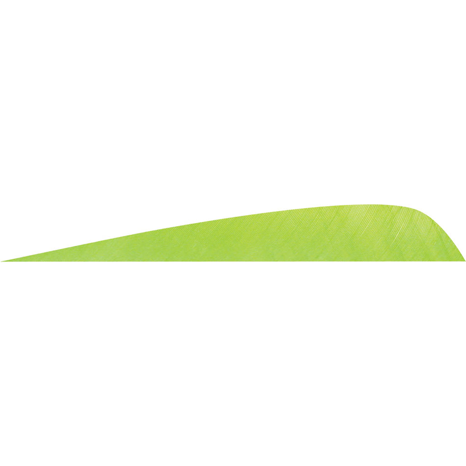 Gateway Feathers Parabolic Chartreuse 4 in. Right Wing Arrow Fletching 50 pk.