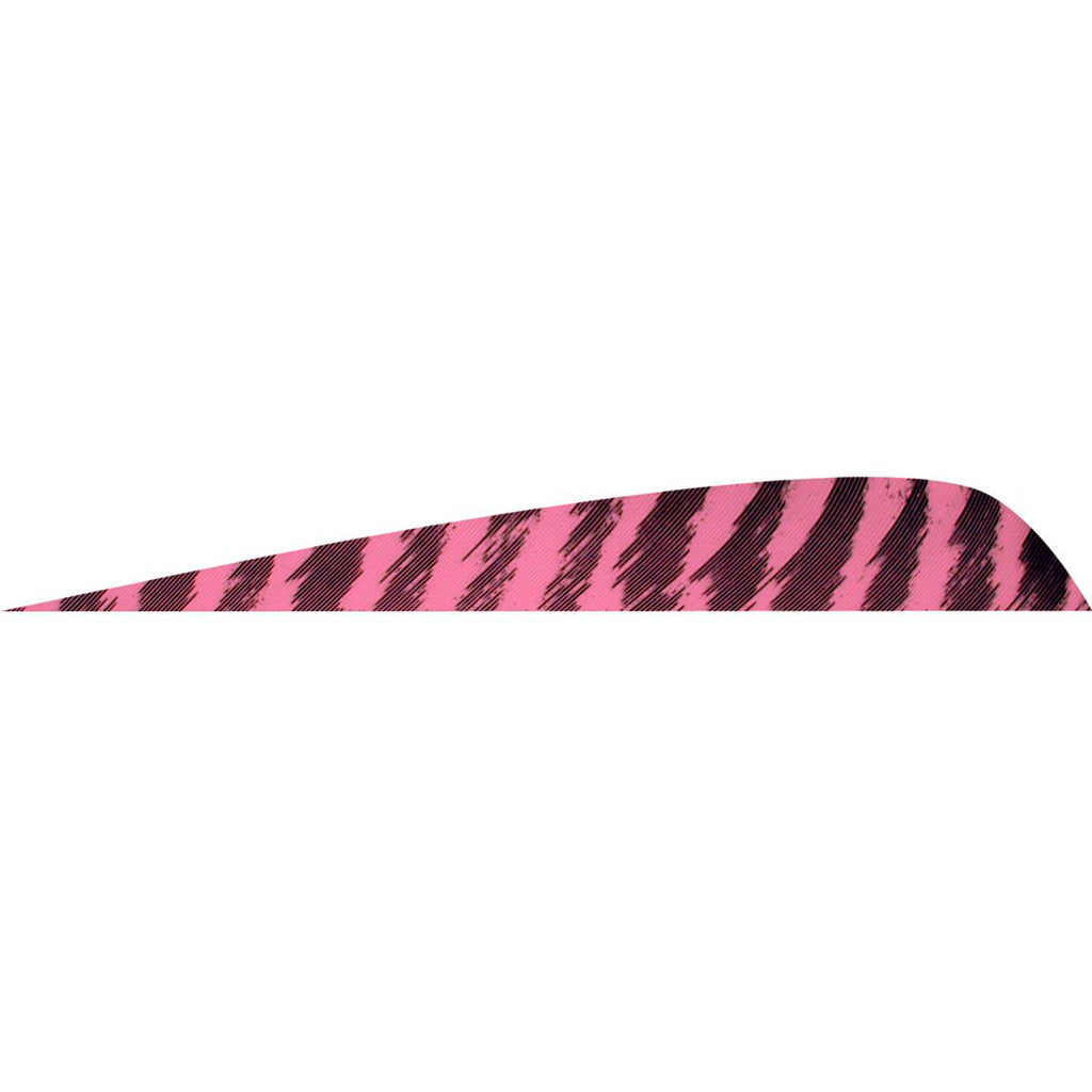 Gateway Feathers Parabolic Barred Flo Pink 4 in. Right Wing Arrow Fletching 50 pk.