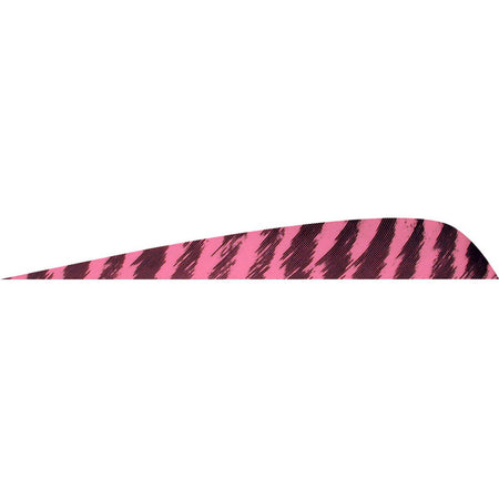 Gateway Feathers Parabolic Barred Flo Pink 4 in. Right Wing Arrow Fletching 50 pk.