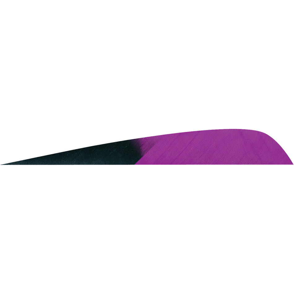 Gateway Parabolic Arrow Fletching Kuru Purple 4 in. RW 50 Count