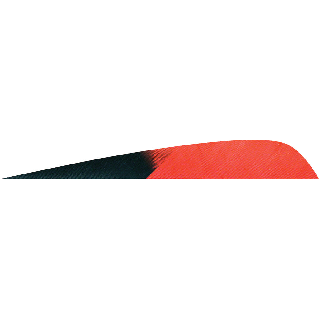 Gateway Parabolic Arrow Fletching Kuru Red 4 in. RW 50 Count