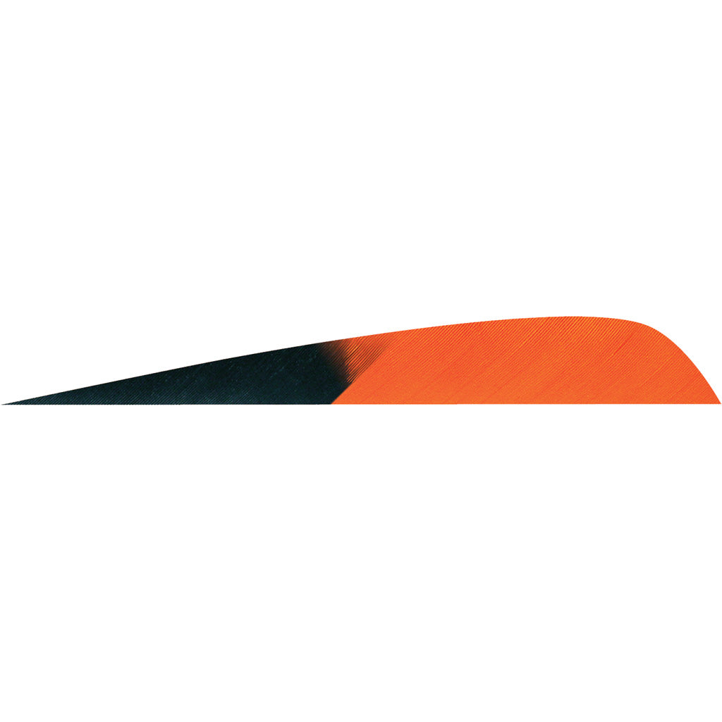 Gateway Parabolic Arrow Fletching Kuru Tangerine 4 in. RW 50 Count