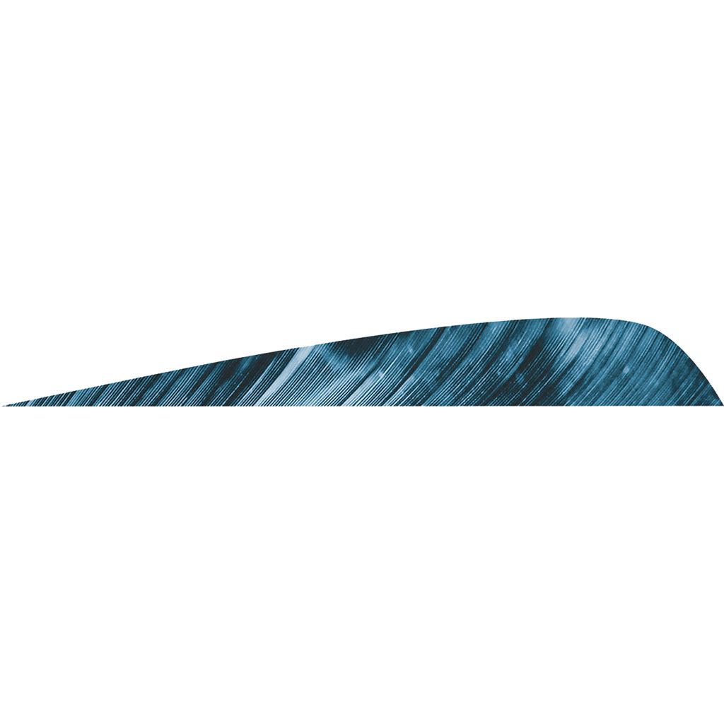 Gateway Feathers Parabolic Tre Blue 4 in. RW Fletching 50 pk.