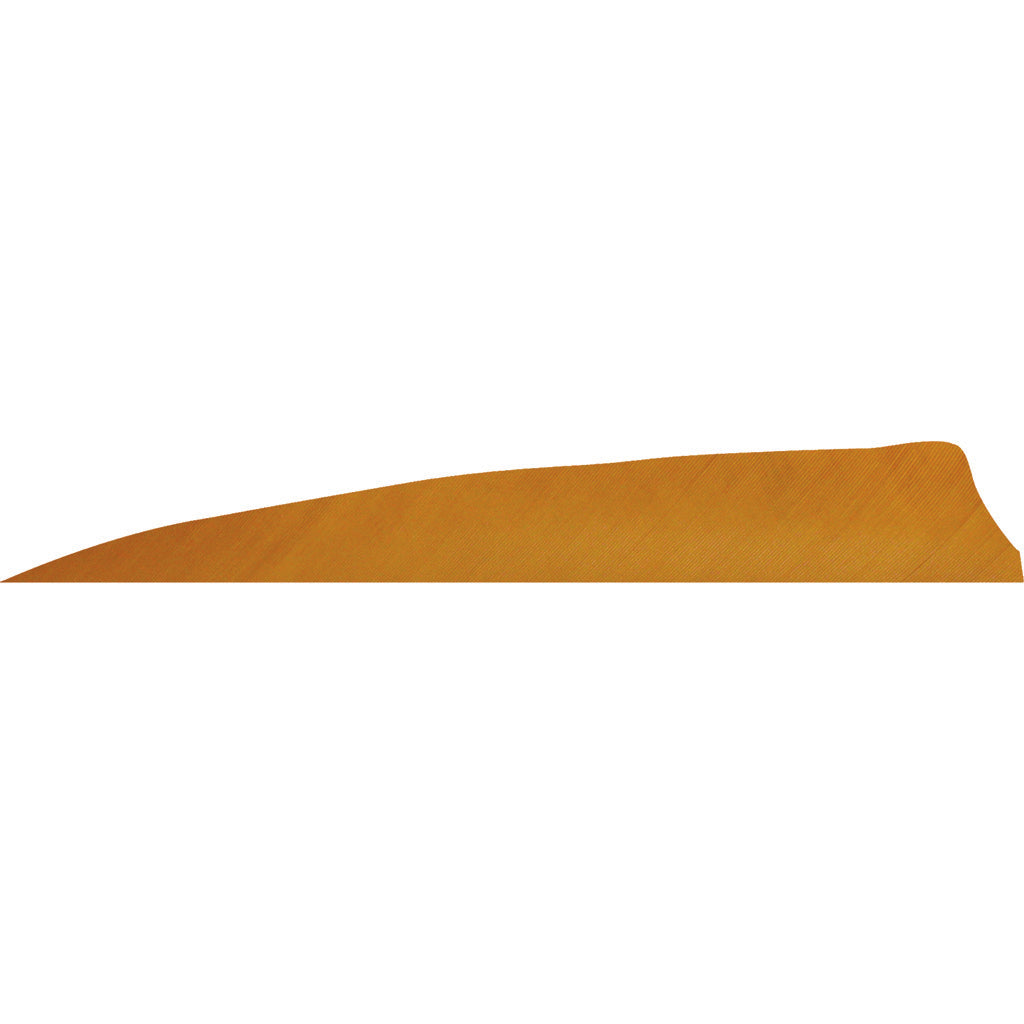 Gateway Feathers Shield Cut Desert Brown 4 in. RW Fletching 50 pk.