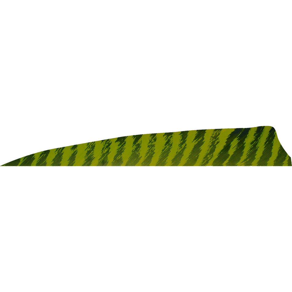 Gateway Feathers Shield Cut Barred Chartreuse 4 in. RW Fletching 50 pk.