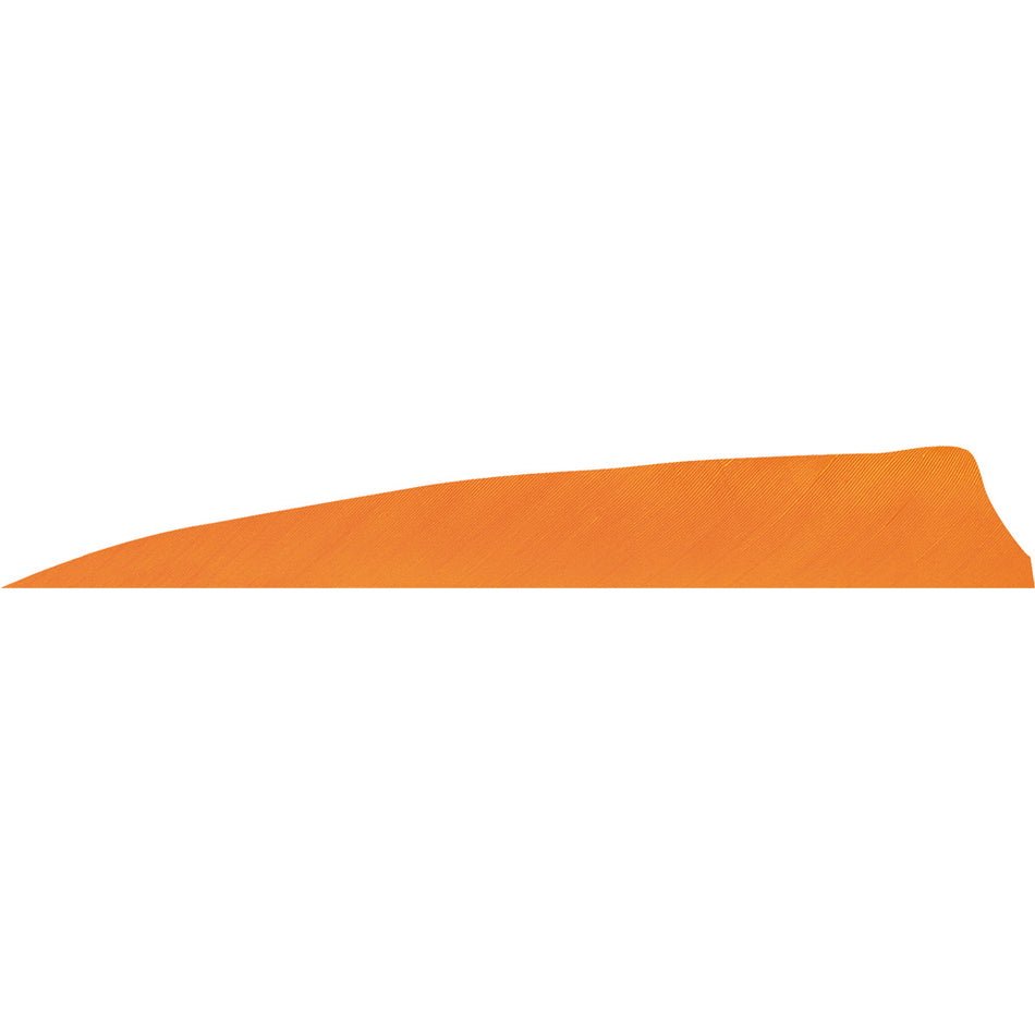 Gateway Shield Cut Fletching Feathers Fluorescent Orange 4 Inch Right Wing 50 Count