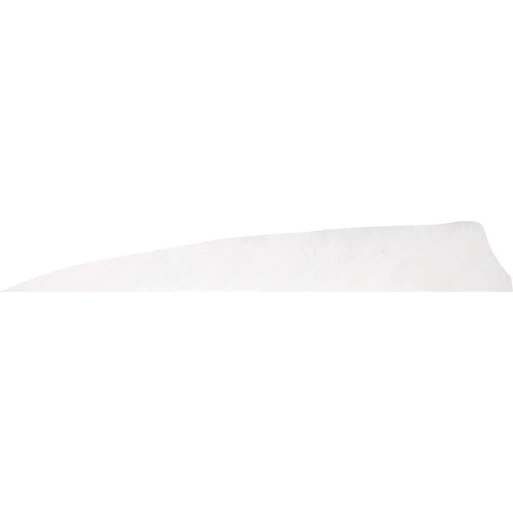 Gateway Shield Cut Fletching Feathers Fluorescent White 4 Inch Right Wing 50 Count