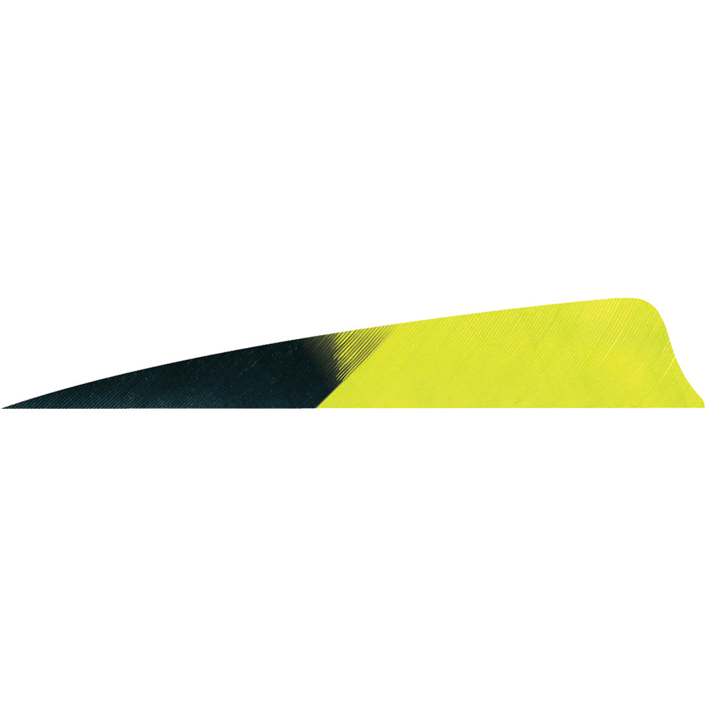 Gateway Shield Cut Fletching Feathers Kuro Lemon Lime 4 Inch Right Wing 50 Count