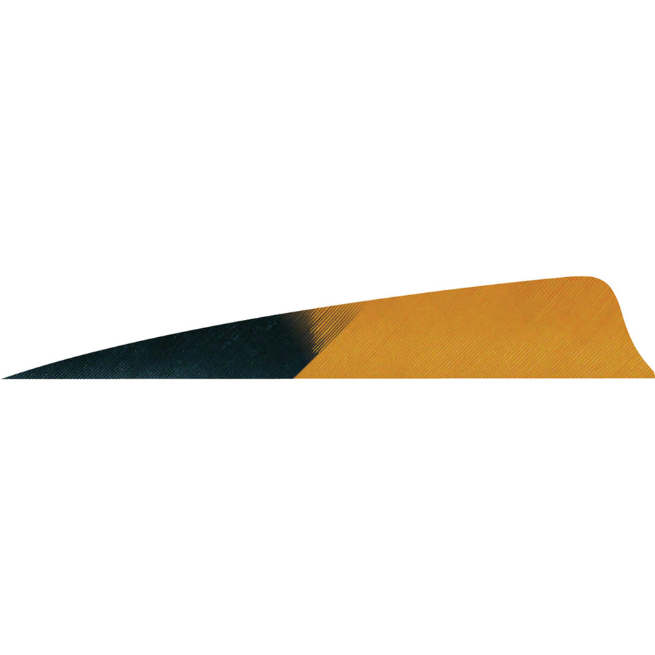 Gateway Shield Cut Fletching Feathers Kuru Brown 4 Inch Right Wing 50 Count