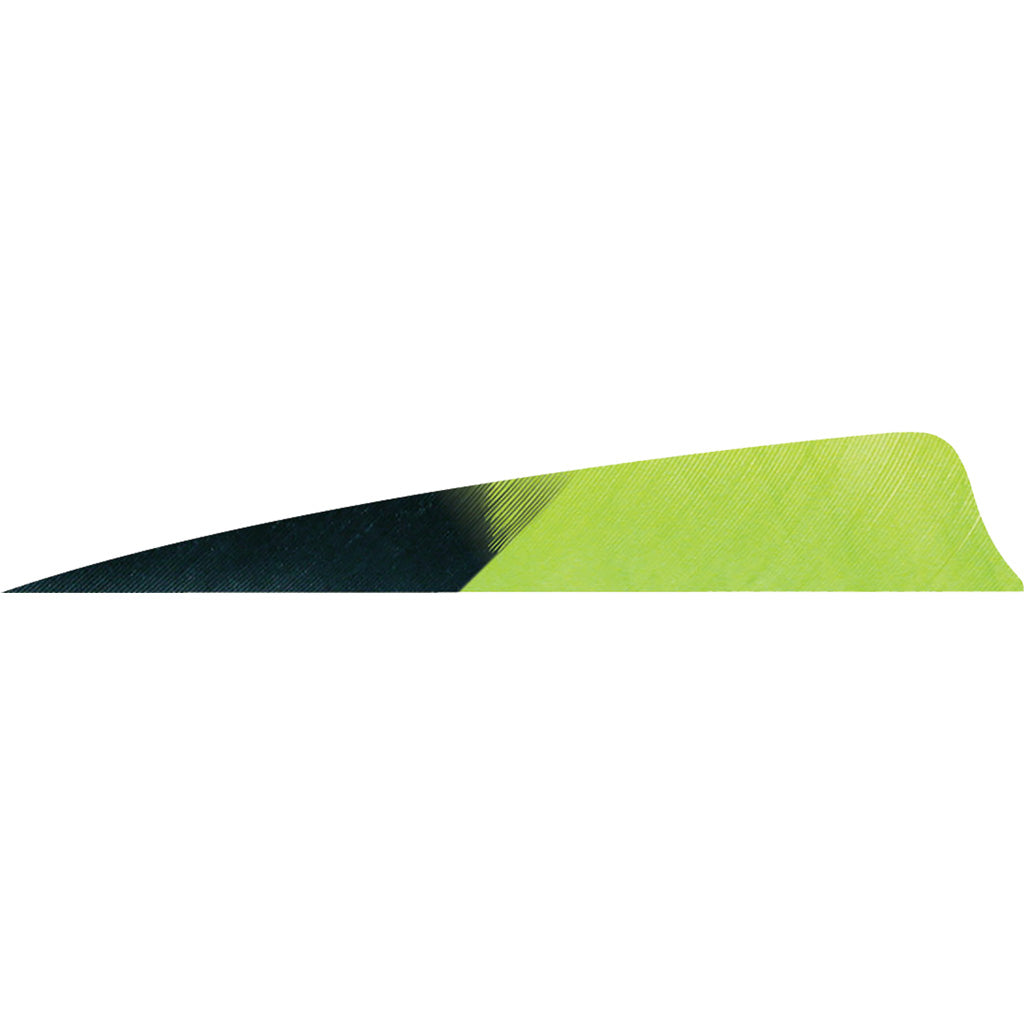Gateway Shield Cut Fletching Feathers Kuru Chartreuse 4 Inch Right Wing 50 Count