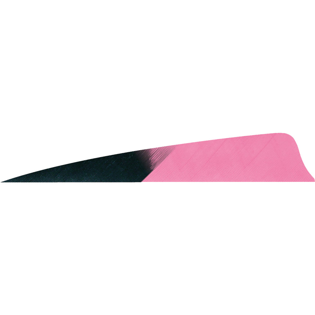 Gateway Shield Cut Fletching Feathers Kuru Fluorescent Pink 4 Inch Right Wing 50 Count