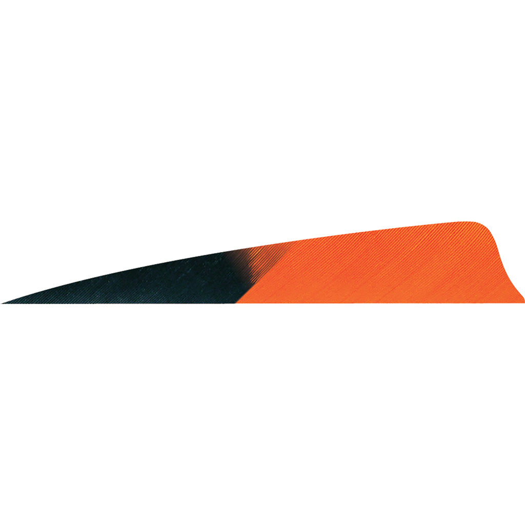 Gateway Shield Cut Fletching Feathers Kuru Tangerine 4 Inch Right Wing 50 Count