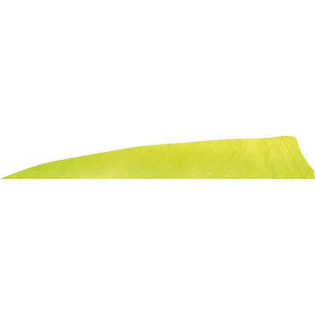Gateway Feathers Shield Cut Lemon Lime 4 in. Right Wing 50 pk.