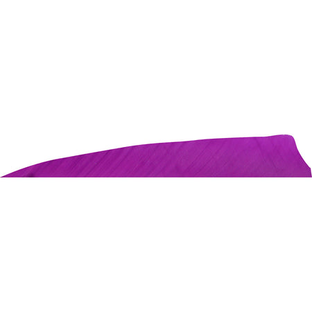 Gateway Feathers Shield Cut Purple 4 in. Right Wing 50 pk.
