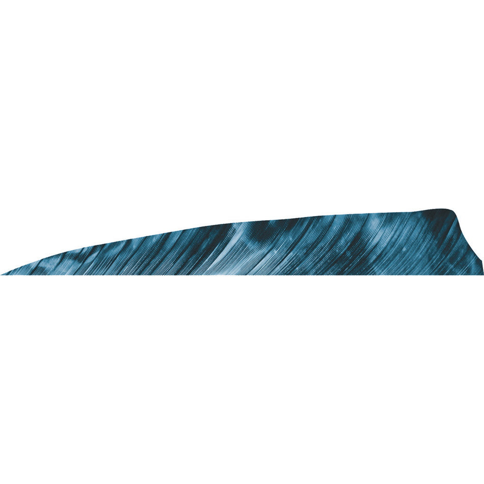 Gateway Feathers Shield Cut Tre Blue 4 in. Right Wing 50 pk.
