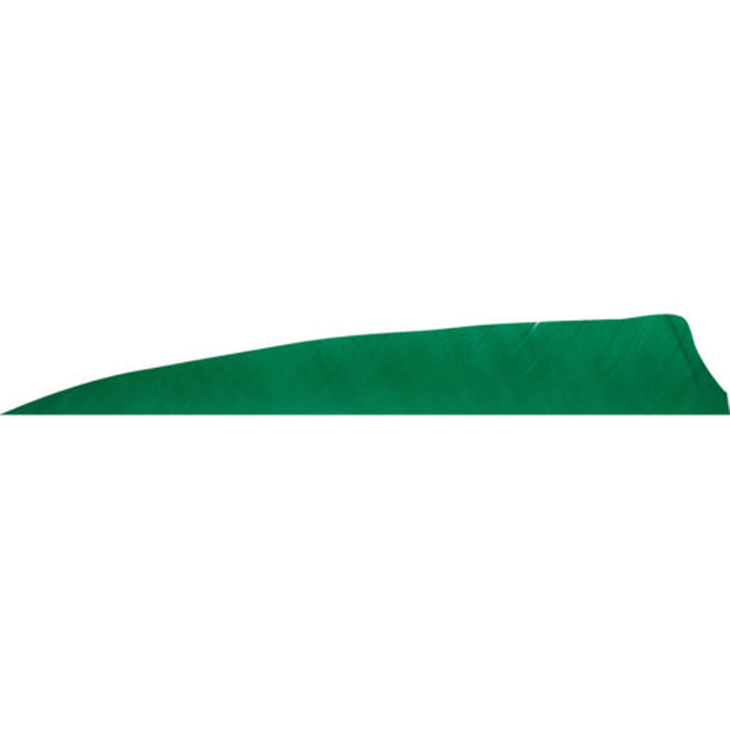 Gateway Feathers Shield Cut Tre Green 4 in. Right Wing 50 pk.