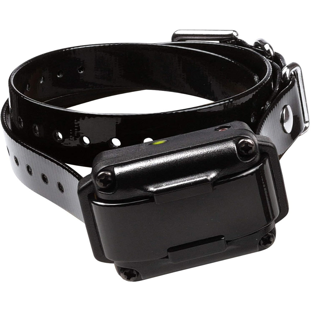 Dogtra 200IQ One-Dog Remote Training Collar