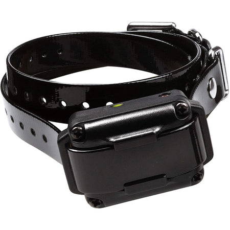 Dogtra 200IQ One-Dog Remote Training Collar
