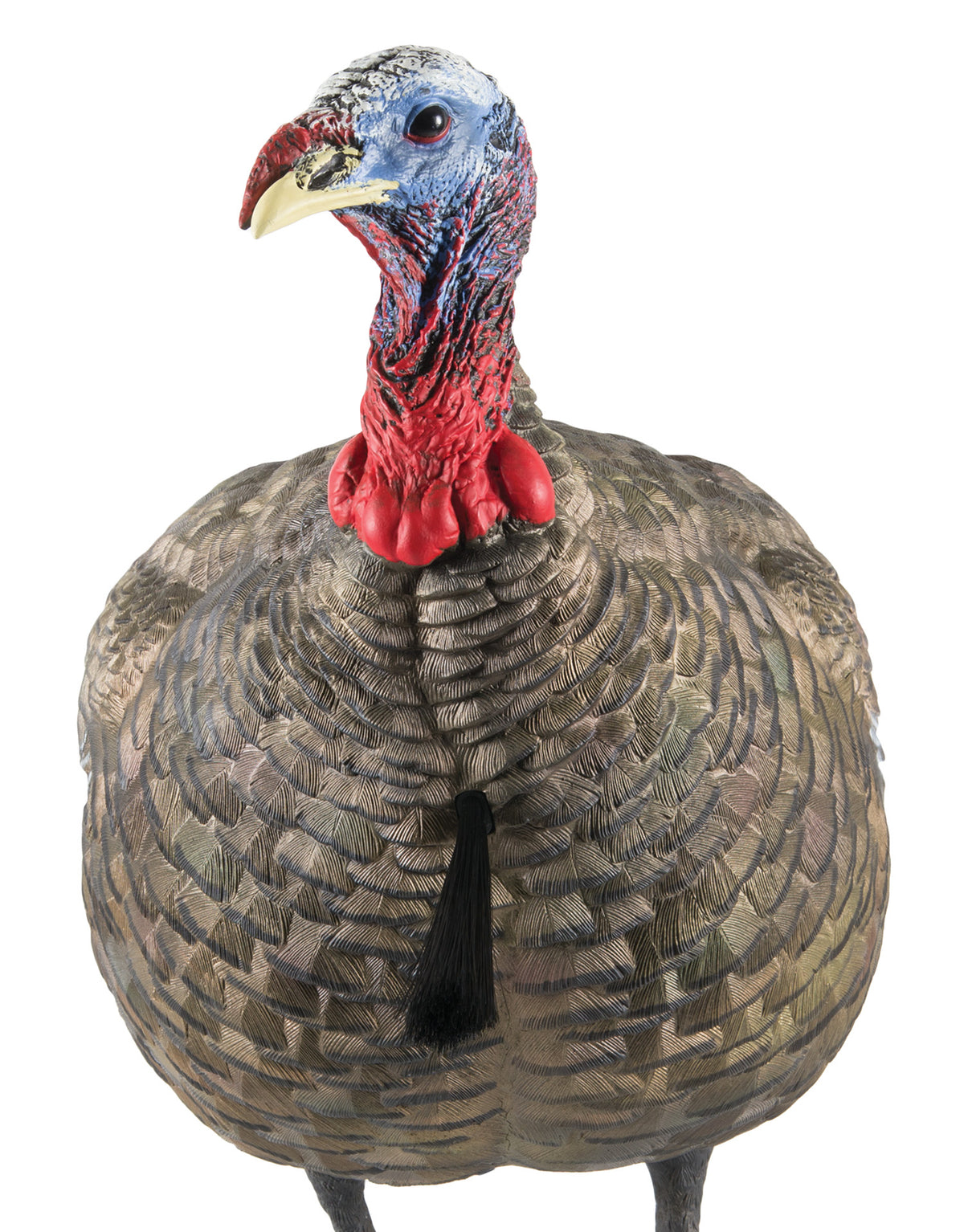 Avian X LCD Quarter Strut Jake Turkey Hunting Decoy Multi Color