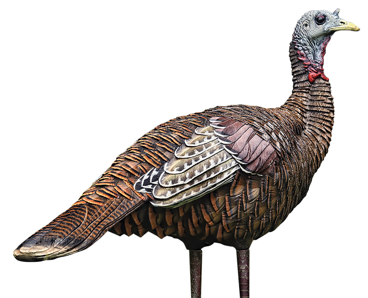 Avian X LCD Raised Lookout Hen Turkey Decoy Multi Color