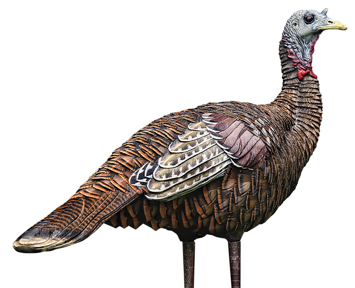 Avian X LCD Raised Lookout Hen Turkey Decoy Multi Color