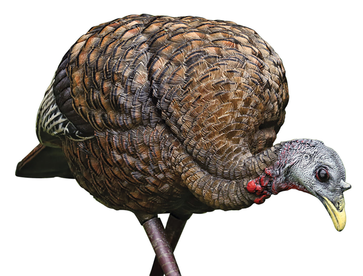 Avian X LCD Feeding Hen Turkey Decoy Multi Color Dura-Rubber