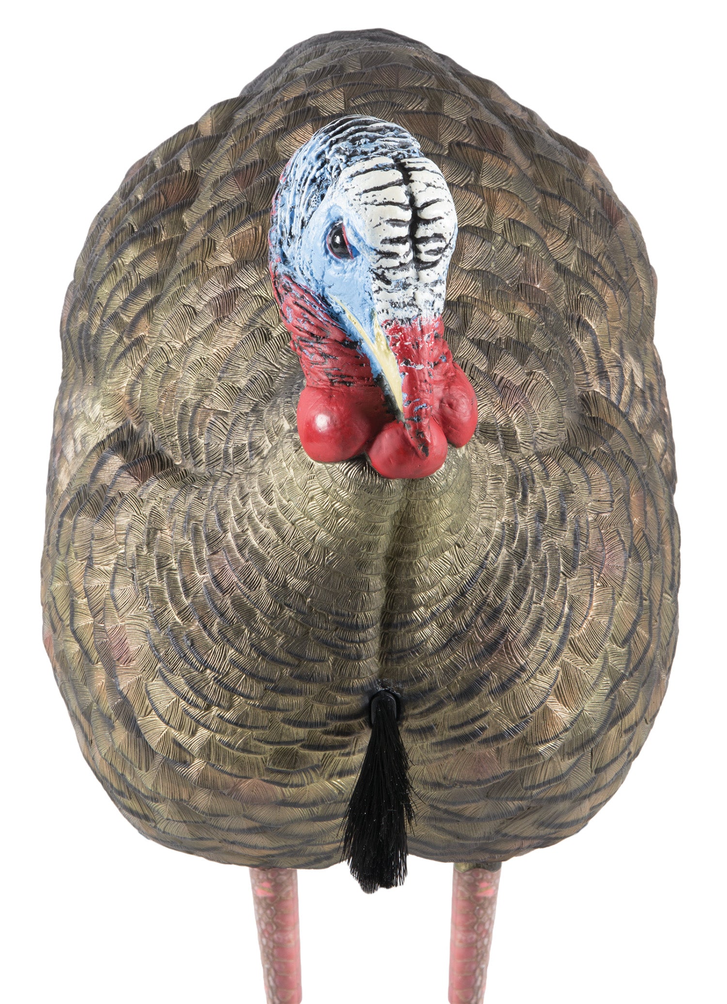 Avian X LCD Sub-Dominant Half-Strut Jake Turkey Decoy Multi Color