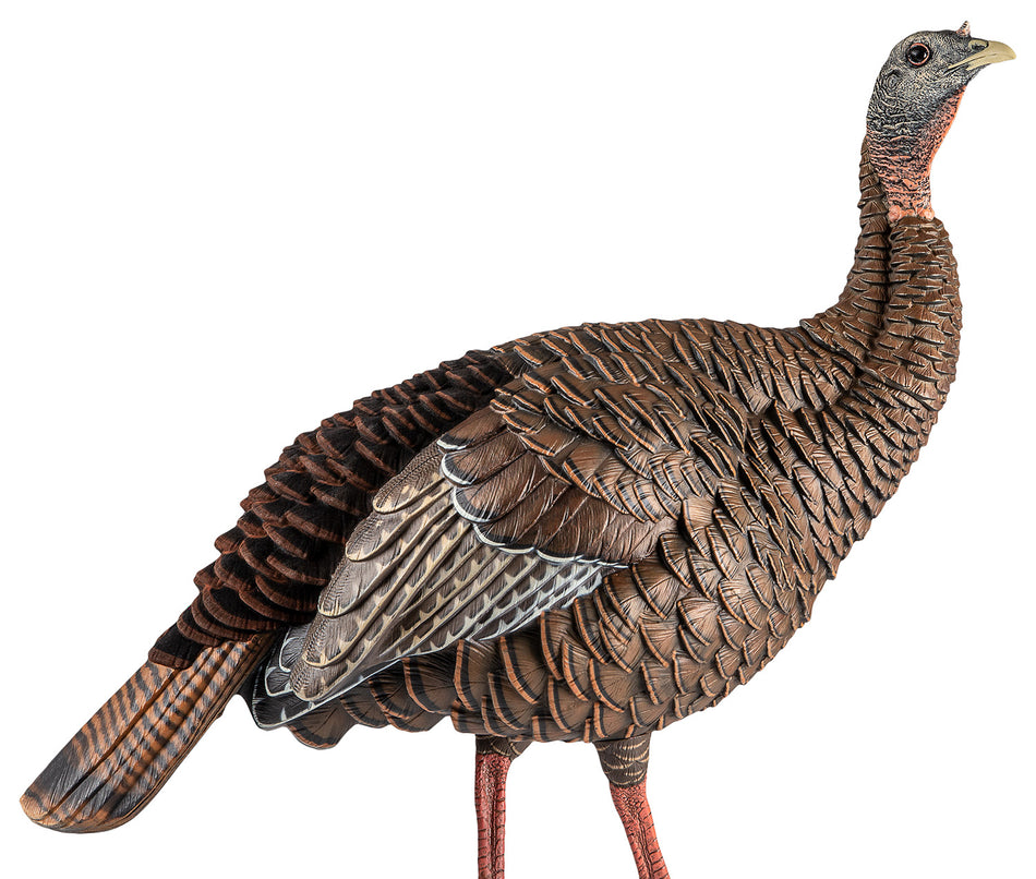 Avian X HDR Hen Turkey Decoy with Two Interchangeable Head Postures