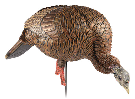 Avian X HDR Submissive Feeder Hen Turkey Decoy Multi Color