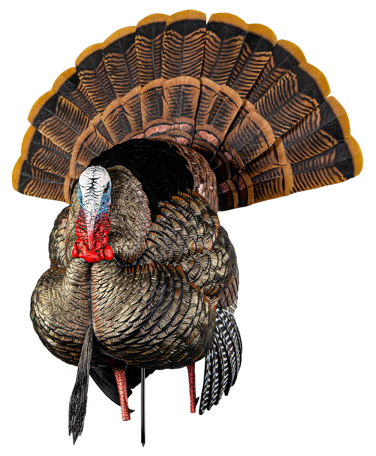 Avian X HDR Full-Strut Tom Turkey Decoy Flocked Feathers Multi Color