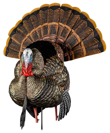 Avian X HDR Full-Strut Tom Turkey Decoy Flocked Feathers Multi Color