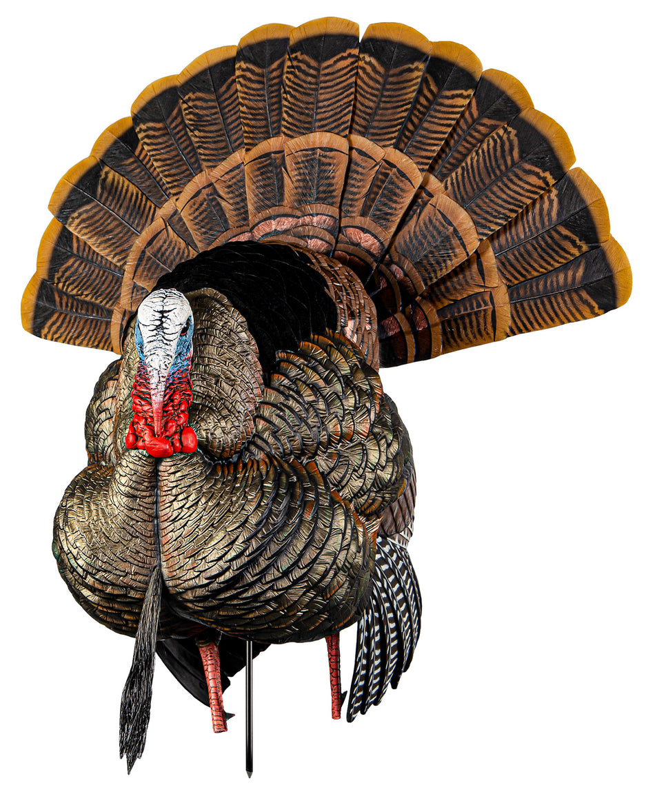 Avian X HDR Full-Strut Tom Turkey Decoy Flocked Feathers Multi Color