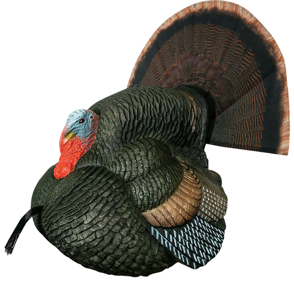 Primos Lil' Gobblestopper Strutter Field-Proven Turkey Box Call